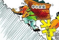 小微企業預繳時享受了優惠政策，但年度應納稅所得額超過規定標準，應該如何
